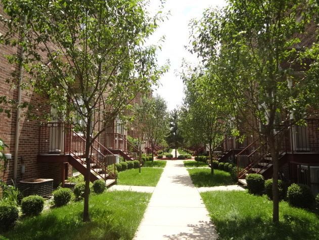 Brick townhouses with green lawn, sidewalk, and trees on a sunny day.