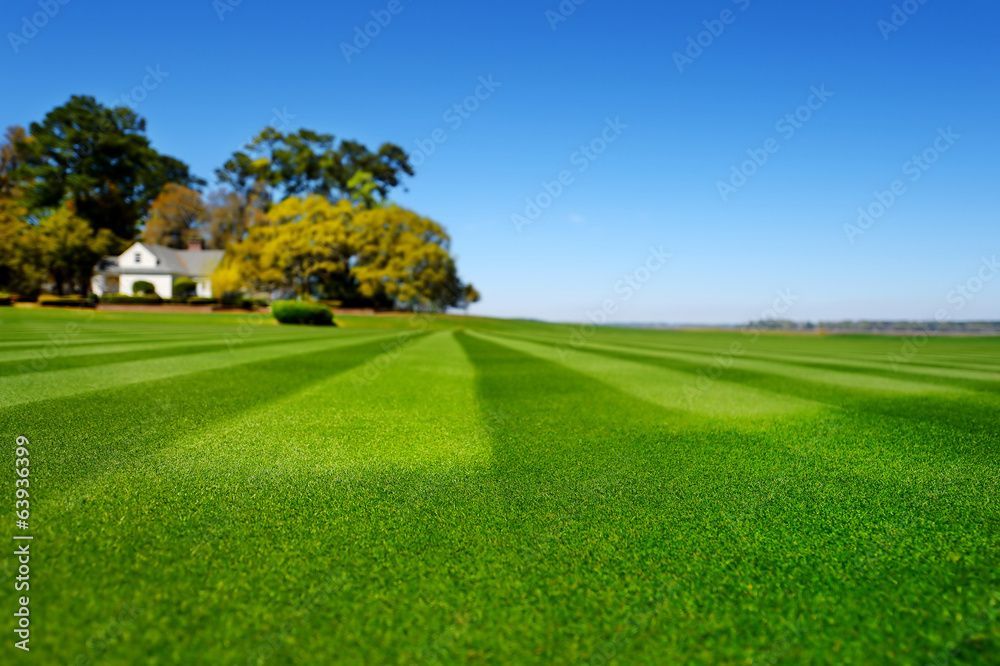 Un champ d'herbe verte luxuriante avec une maison en arrière-plan.