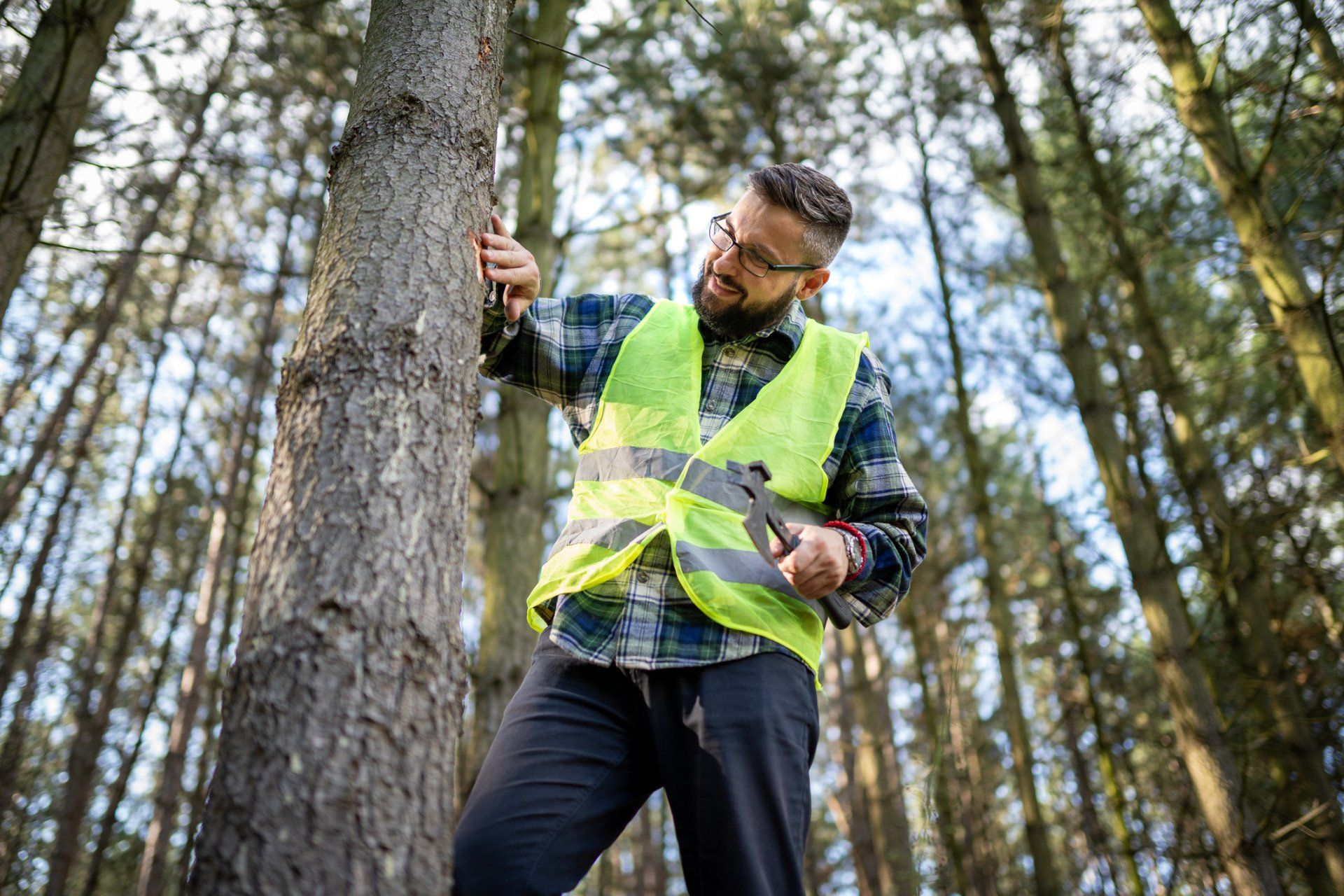Ecologist On Fieldwork — Palm Coast, FL – Against the Grain Tree Care LLC