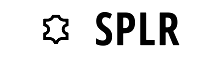 SPLR Leather Repair