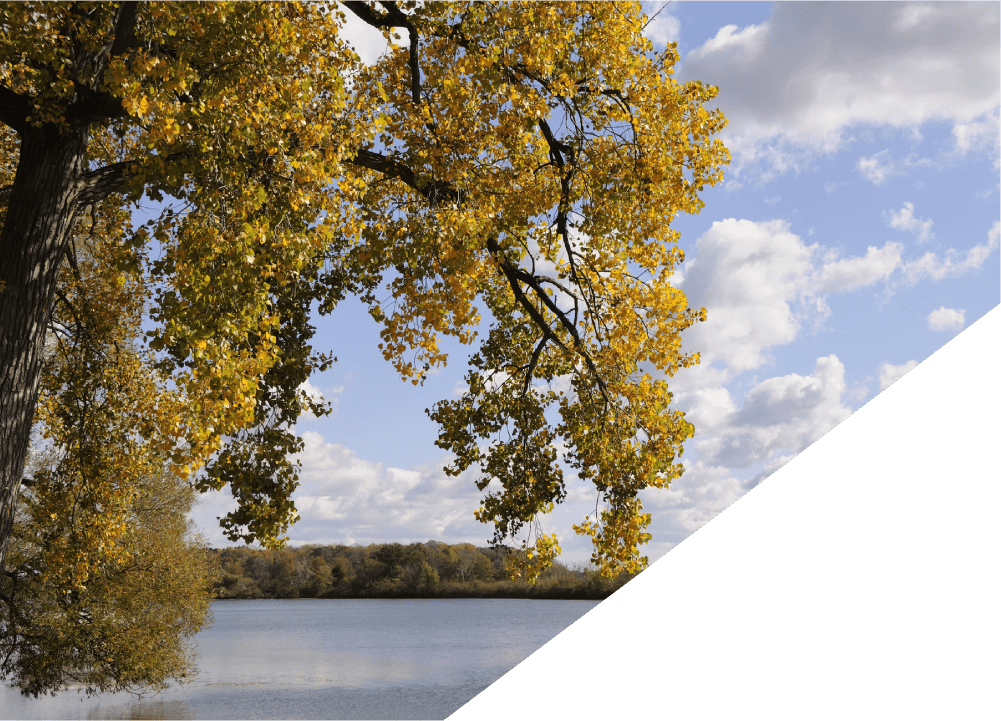 Bloomfield | Autohaus Service & Sales