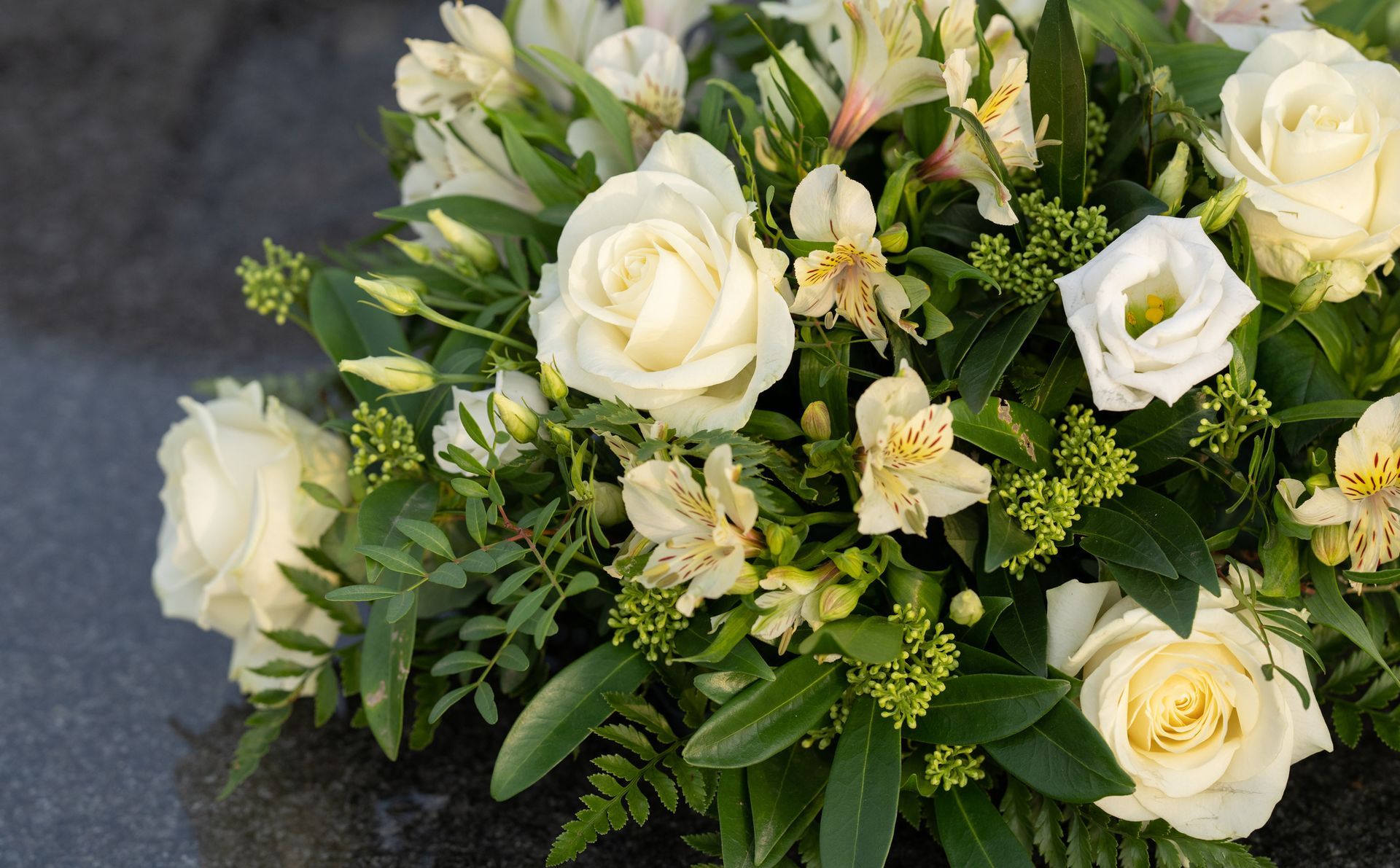 assistenza e Servizio ambulanza