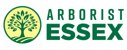arborist essex