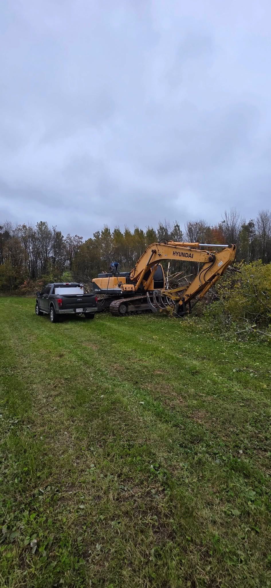 A yellow excavator and a dark pickup truck parked in a grassy field near a forest edge under a cloudy sky.
