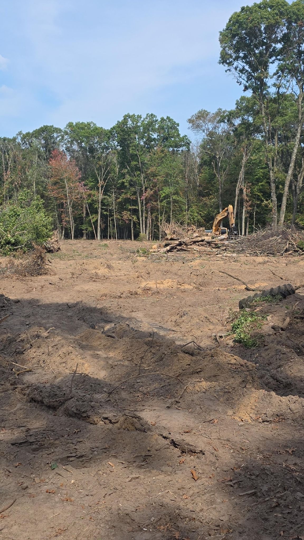 A construction excavator clears a patch of land adjacent to a forest, leaving behind bare earth and piles of debris.