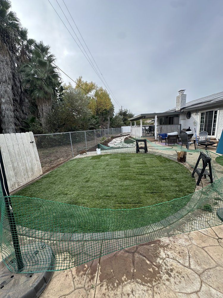 A backyard with a lot of grass and a house in the background.
