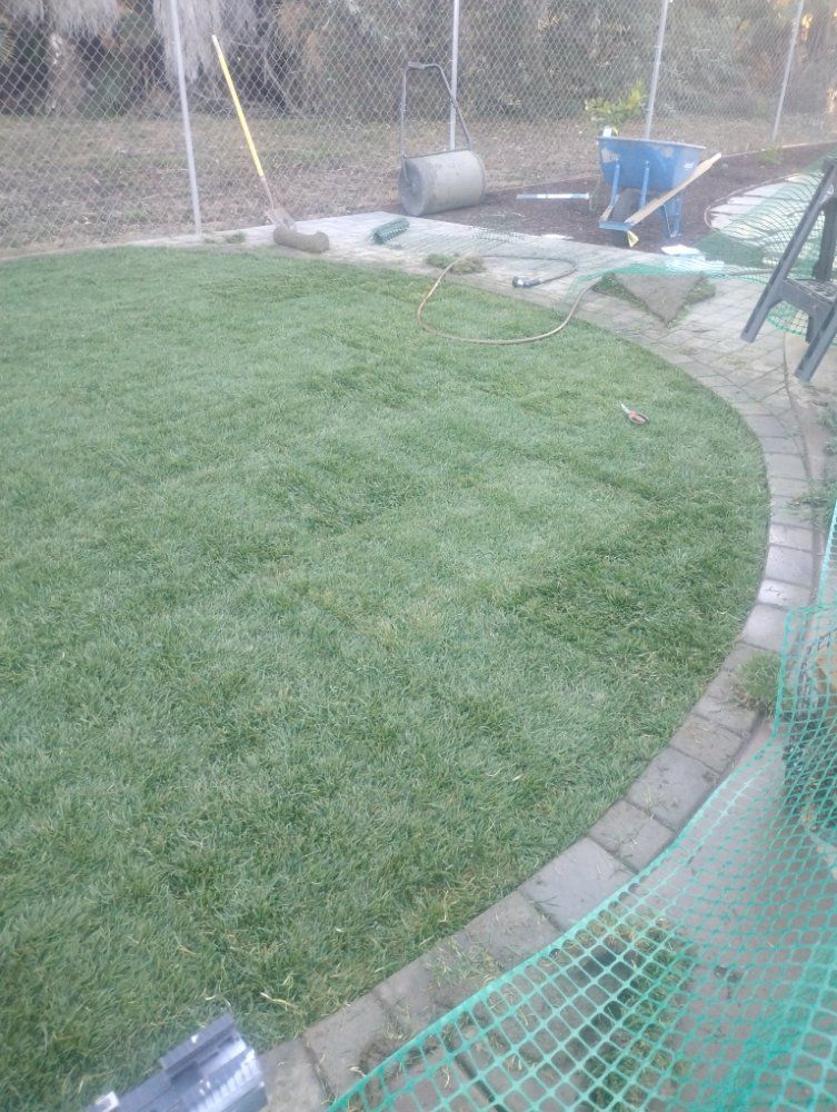 A lush green lawn with a brick walkway surrounded by a chain link fence.
