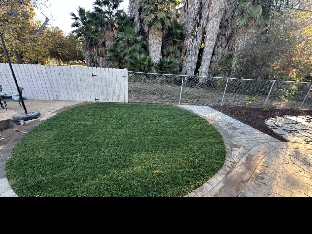 A circle of grass in a backyard with a fence and palm trees in the background.