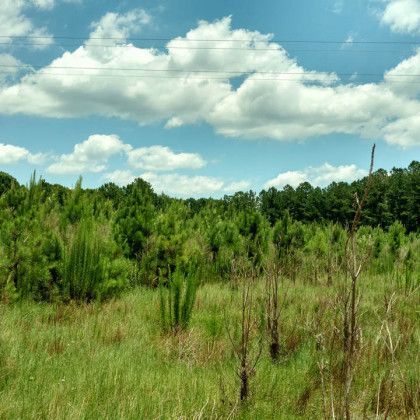site preparation brooklet ga site preparation brooklet ga