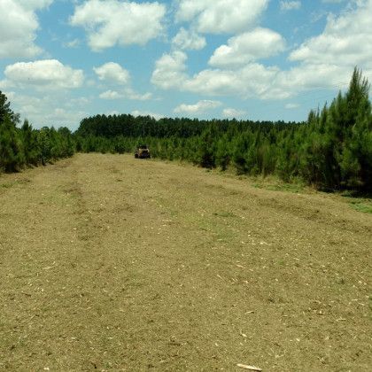 land development brooklet ga land development brooklet ga
