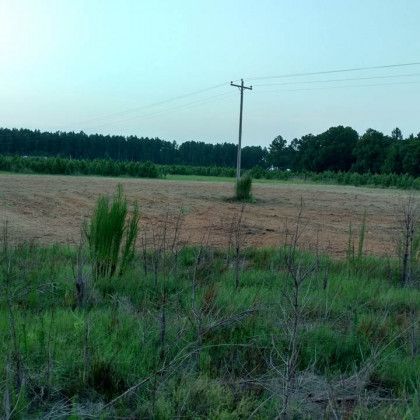 site preparation brooklet ga site preparation brooklet ga
