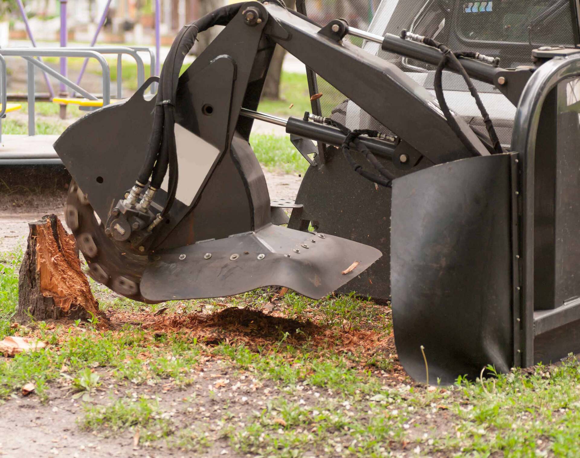 Removing a Tree Stump — Selbyville, DE — Timberjack Tree Service, Inc.