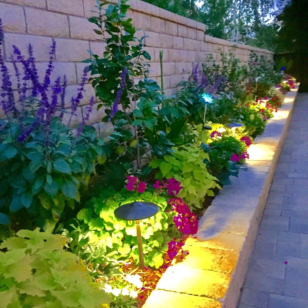 Stone wall with a flower bed illuminated by low lights. Purple and pink flowers, green foliage.