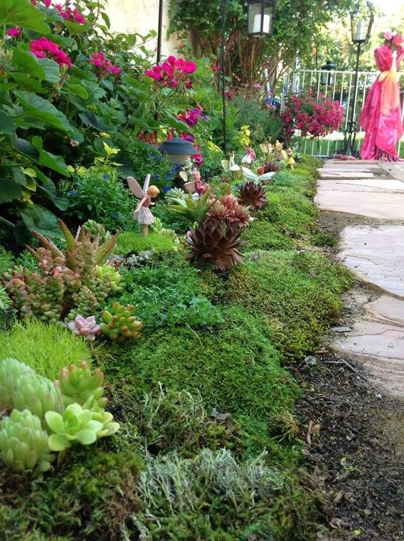 A lush garden bed with moss, succulents, and colorful flowers. A pathway borders the garden.