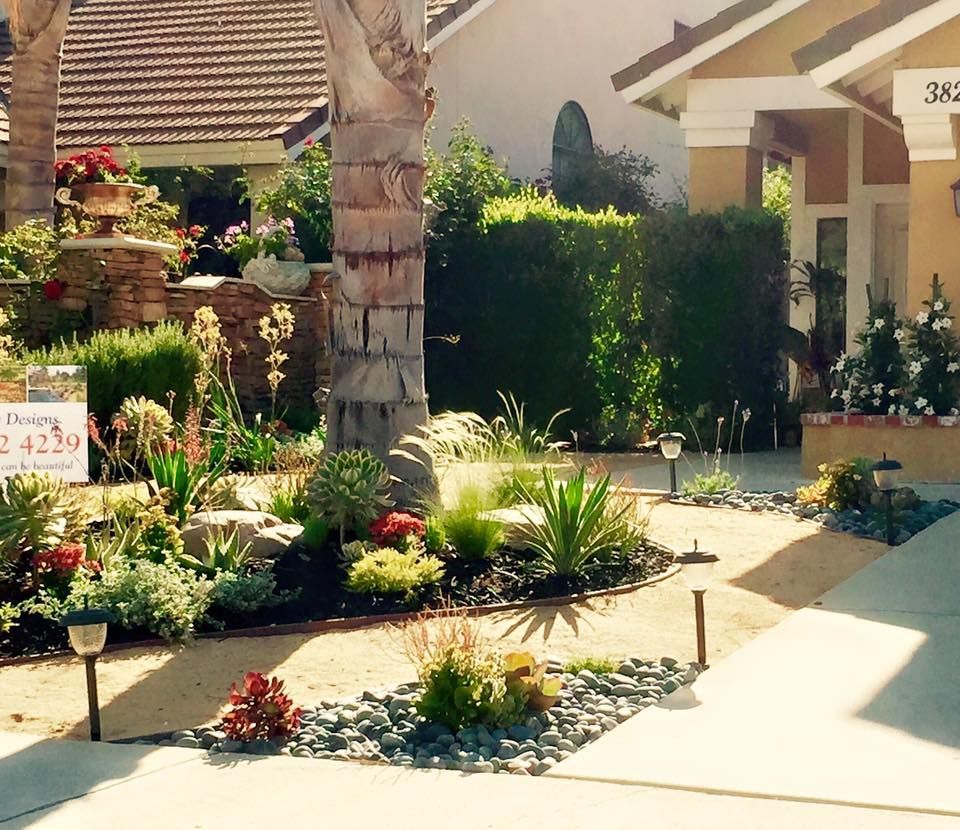 A well-landscaped front yard featuring drought-tolerant plants, rock pathways, and a palm tree, with a yellow house in the background.