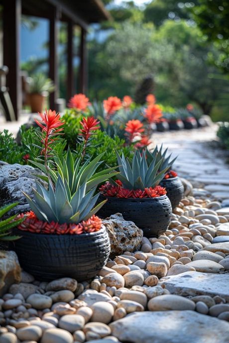 A small, spherical green pine tree surrounded by white pebbles and two large, textured rocks in a garden setting.
