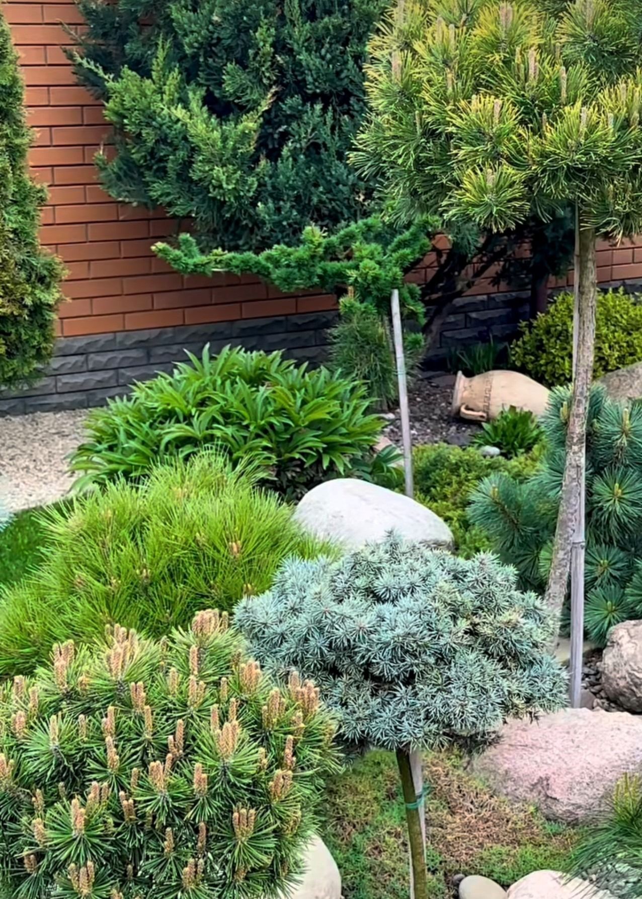 A lush garden with various green and blue plants, large rocks, and a brick wall in the background. A small dog rests near a rock.