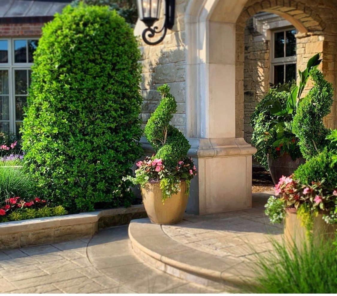 Stone entranceway with manicured shrubbery, spiral topiary in a pot, and potted flowers; partially shadowed.