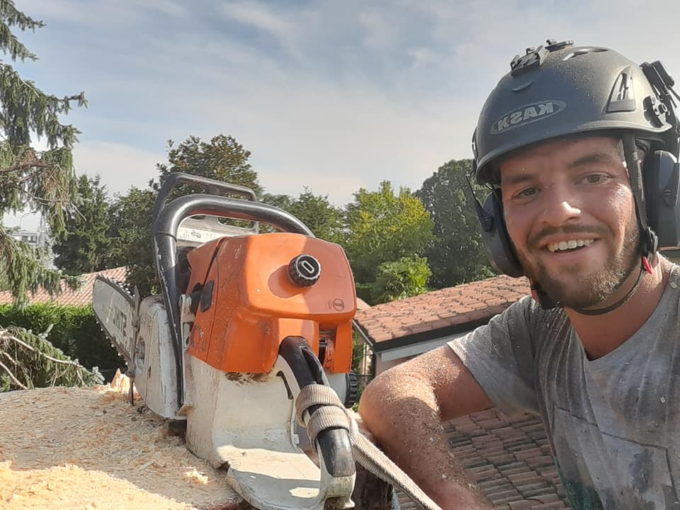 professionista del tree climbing