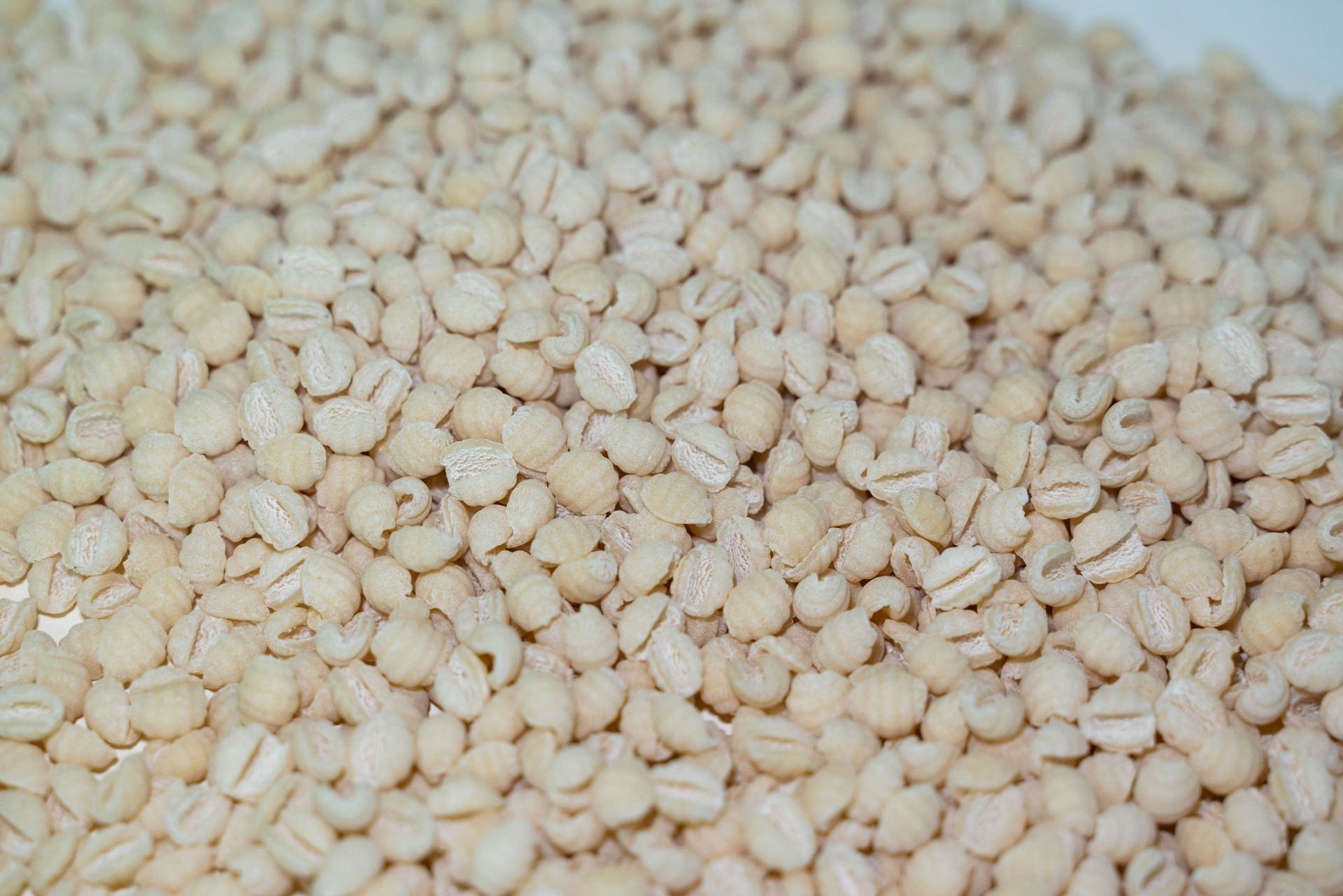 Pasta artigianale dalla Sardegna