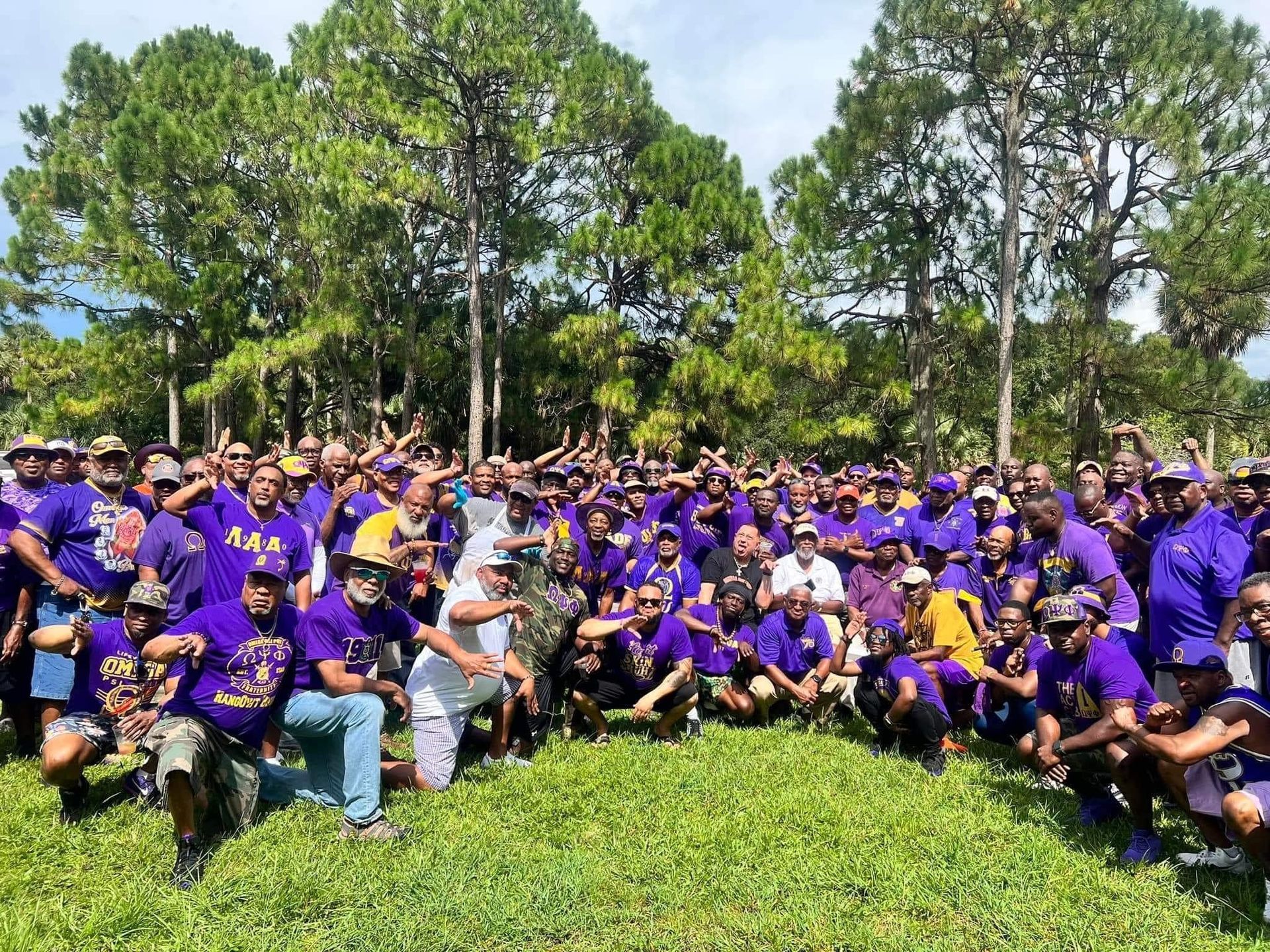 Omega-Page-history-image