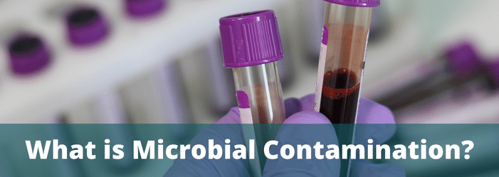 What is Microbial Contamination?