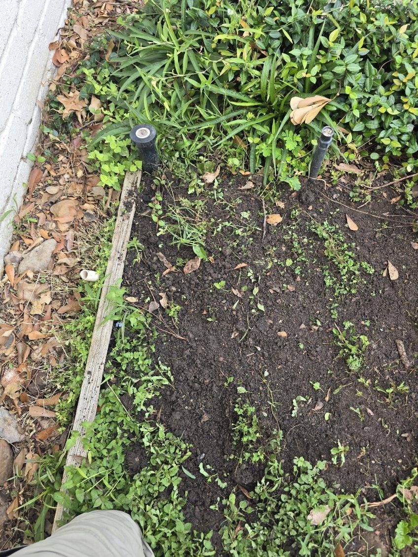 A person is standing in a garden next to a sprinkler.