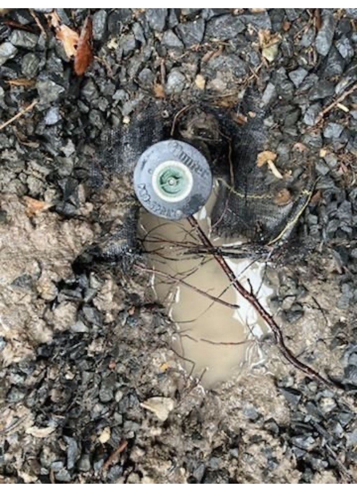 A sprinkler is sitting in the dirt on the ground.