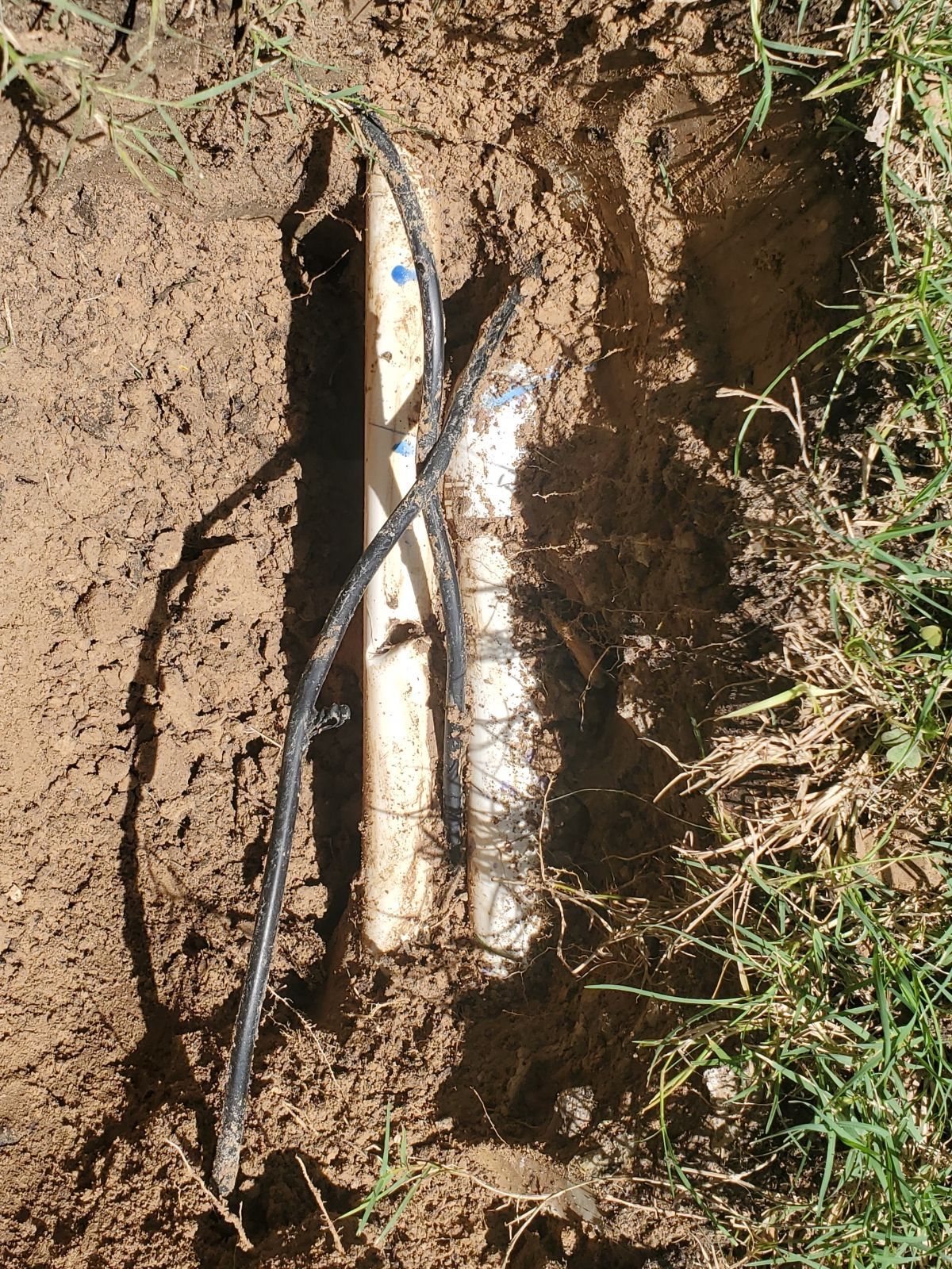 A piece of wood is laying in the dirt next to a hose.