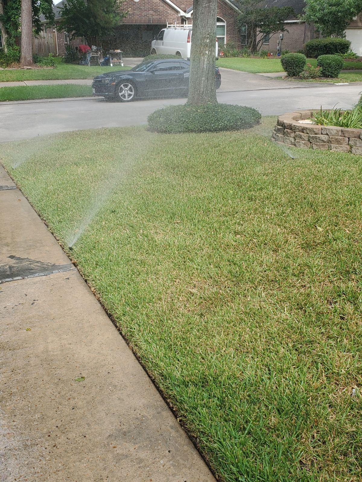 A sprinkler is spraying water on a lush green lawn.
