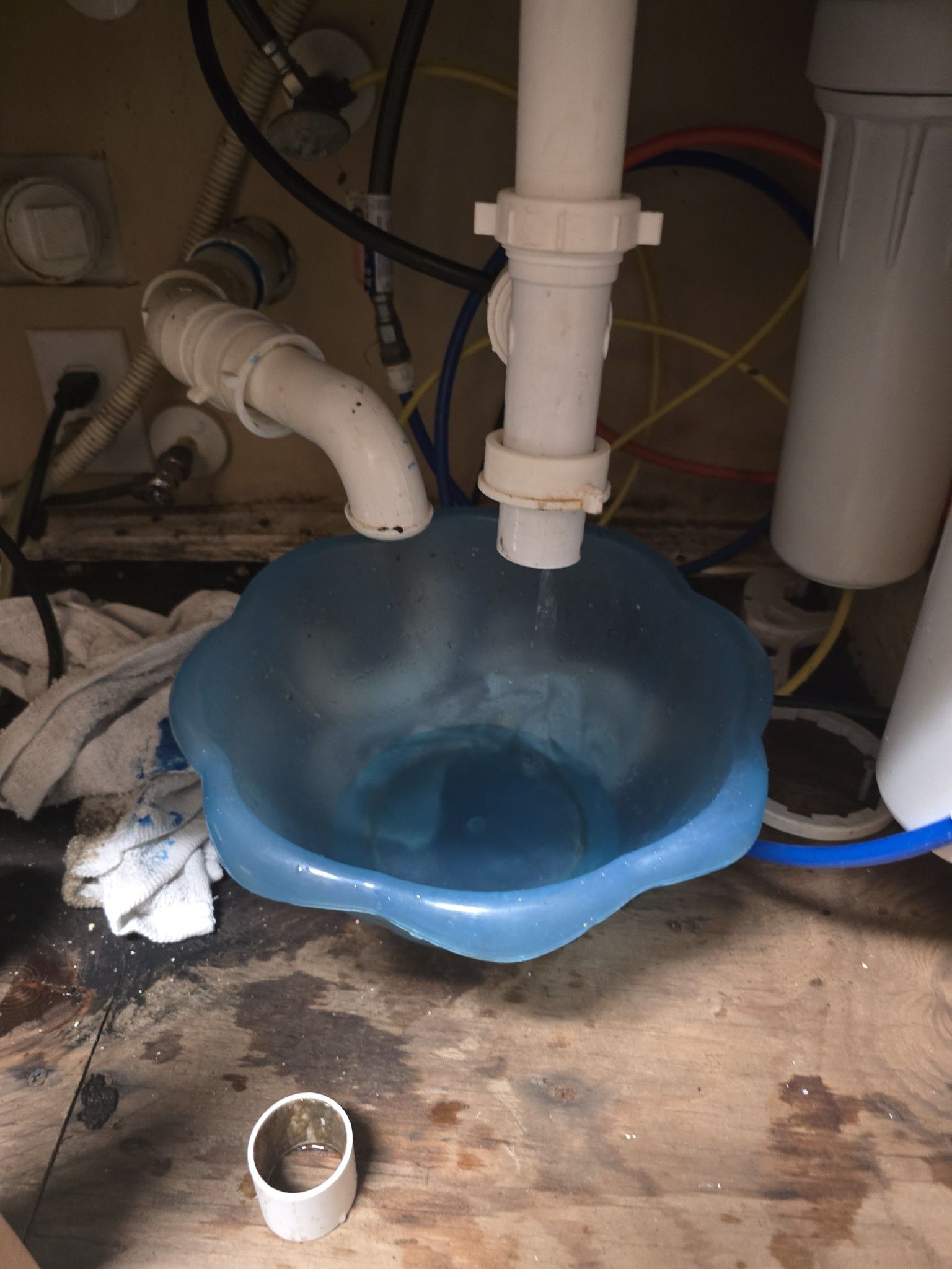 A blue bowl filled with water is under a sink.