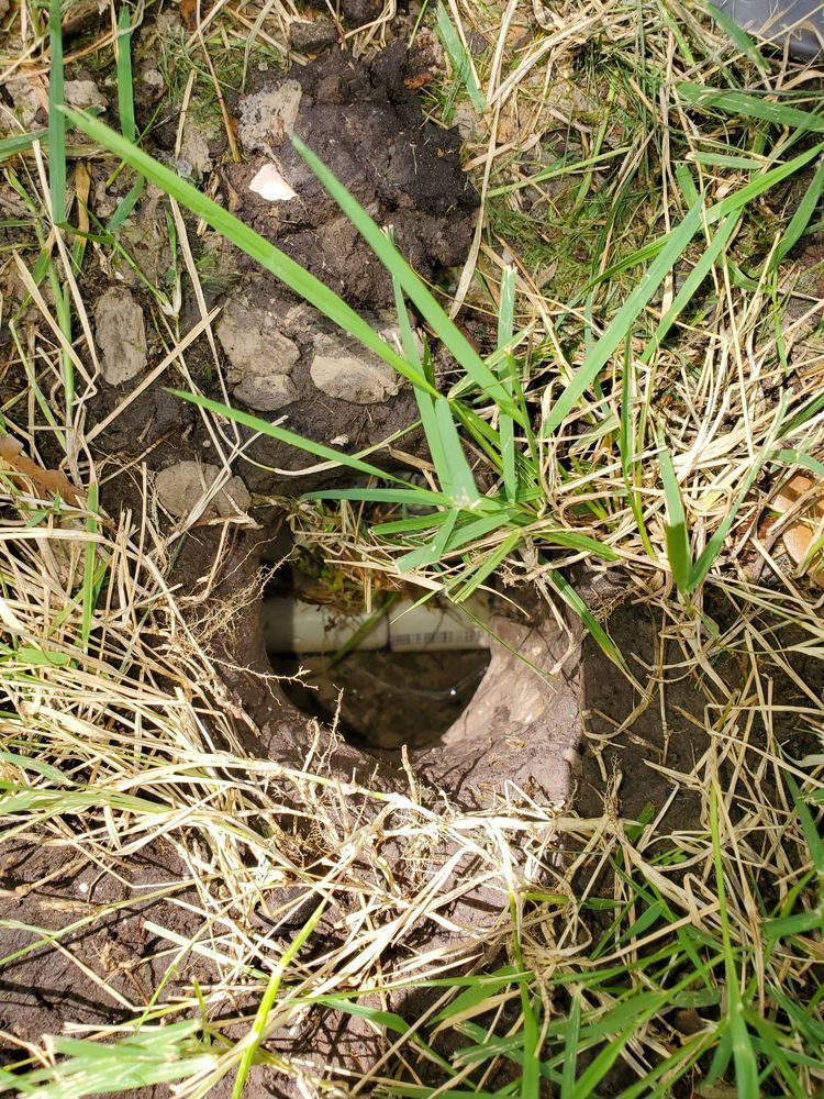 A close up of a hole in the ground in the grass.
