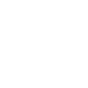 icona professionalità