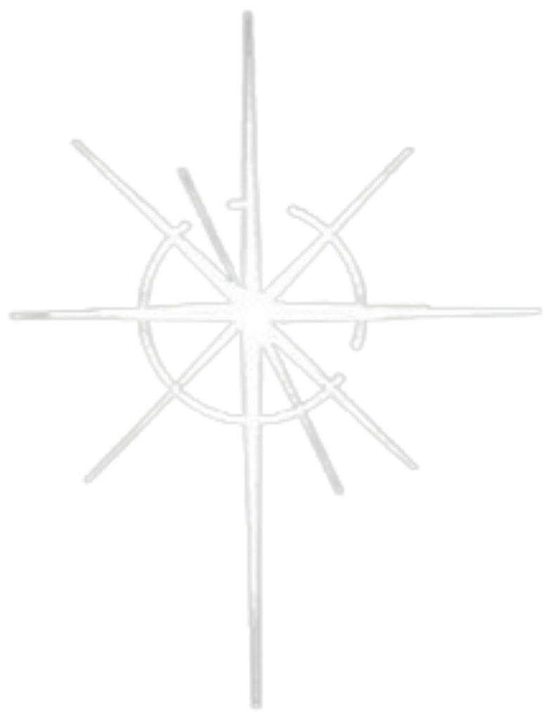 A white star with a circle in the middle on a white background.