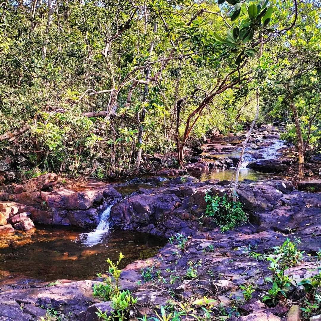 Streams, rivers and waterfalls in green season Cambodia