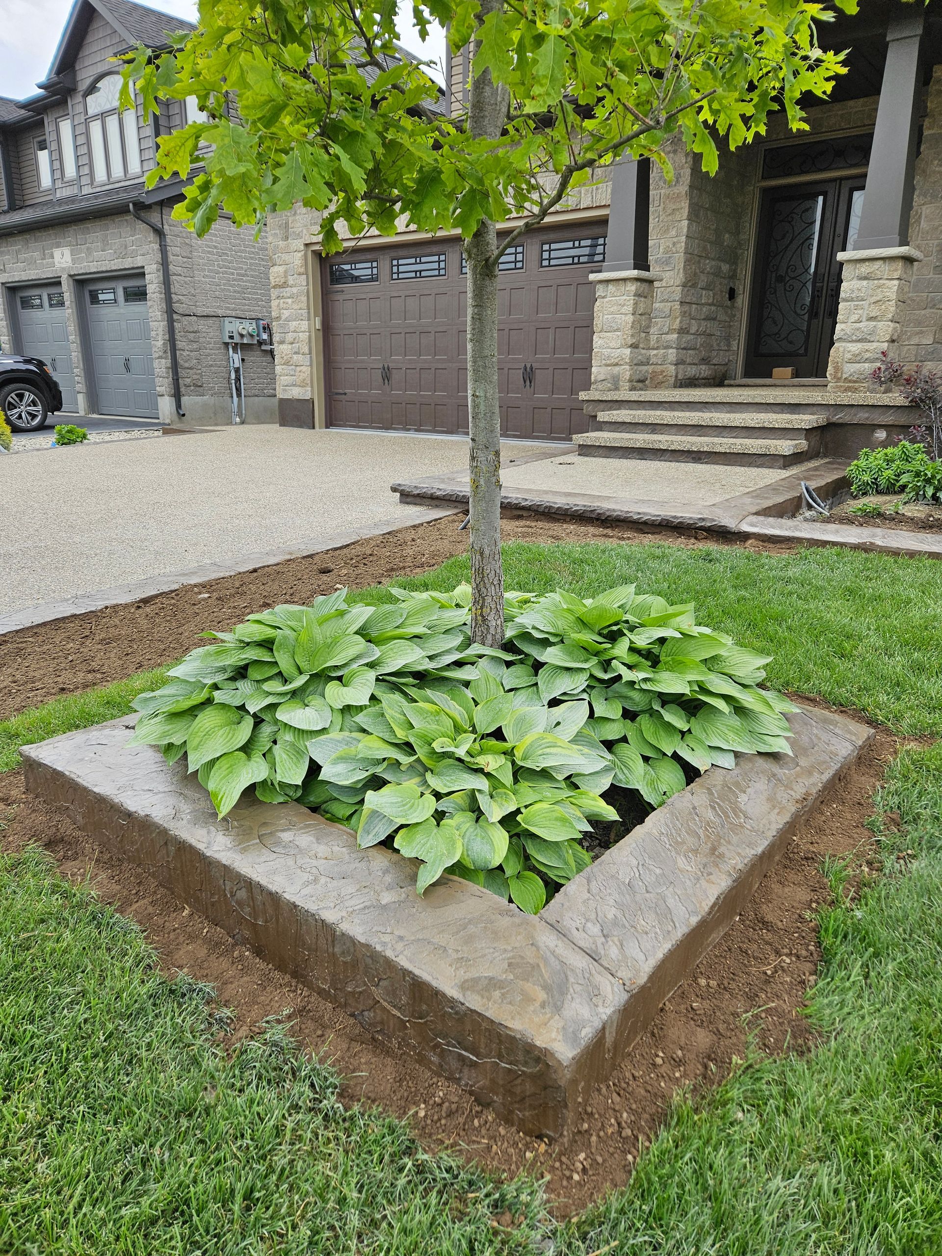 A large swimming pool is in the backyard of a house.