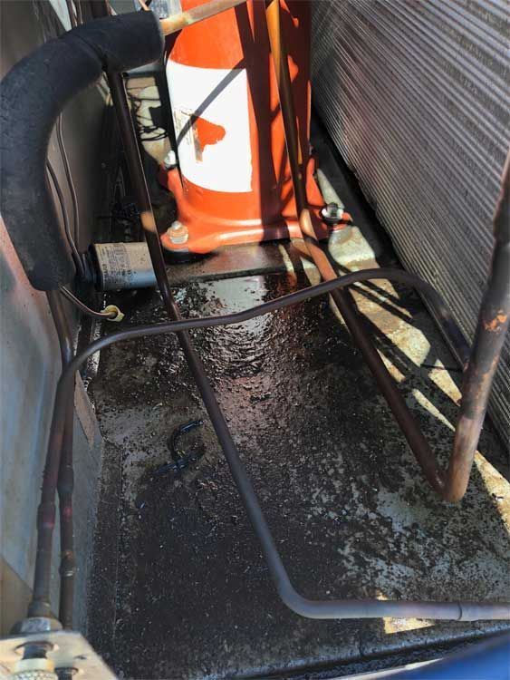 Wet condenser unit with copper tubing and a traffic cone, potentially indicating a leak.