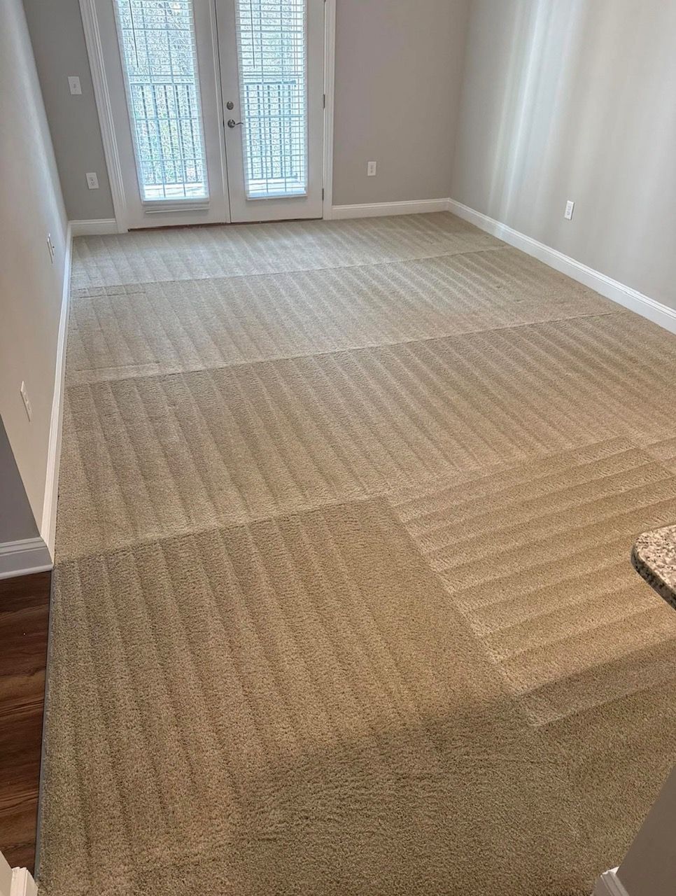 A room with beige wall-to-wall carpet showing distinct vacuum tracks leading toward French doors.