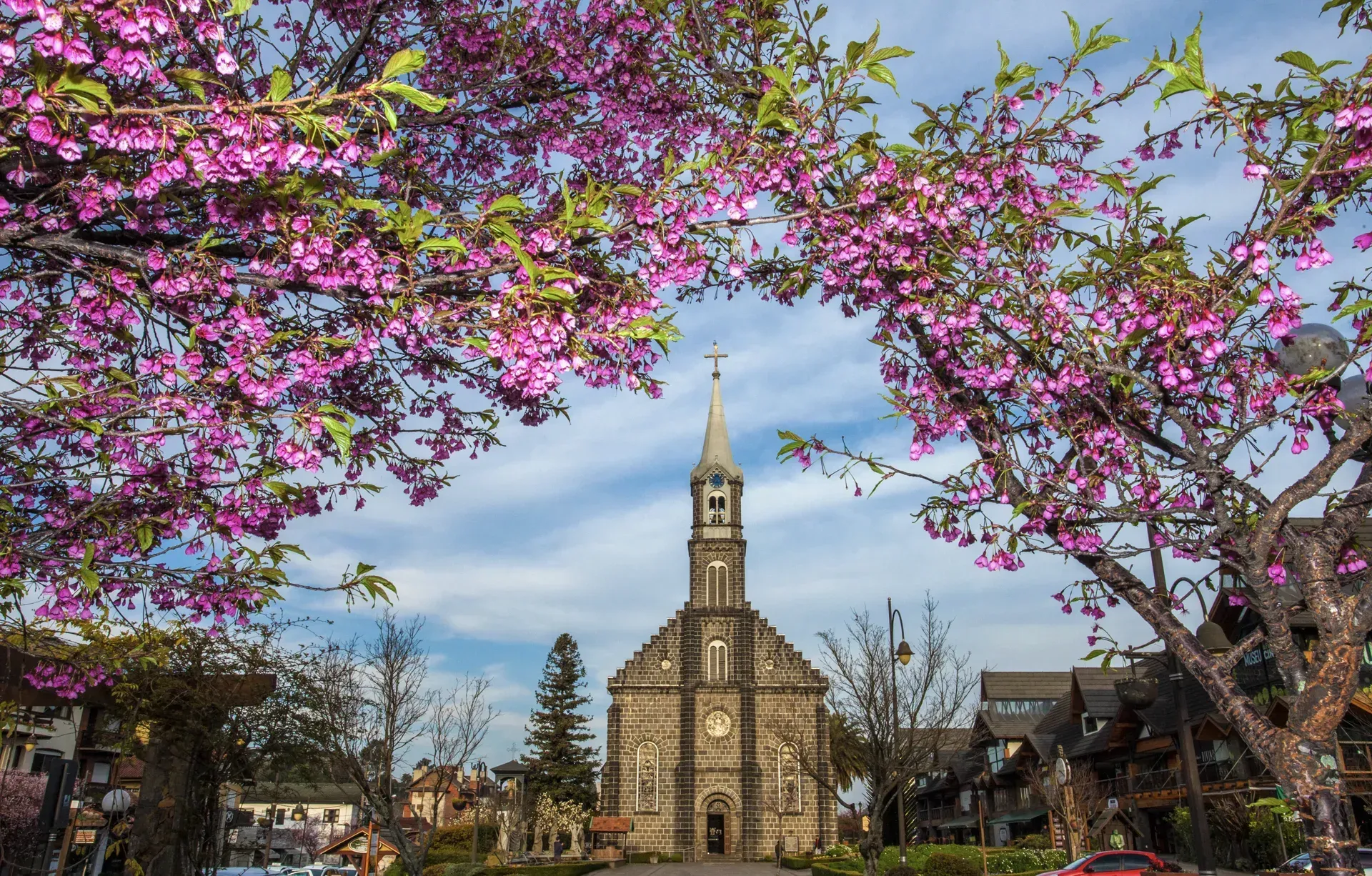 Uma igreja cercada por árvores com flores rosas e uma torre do relógio.