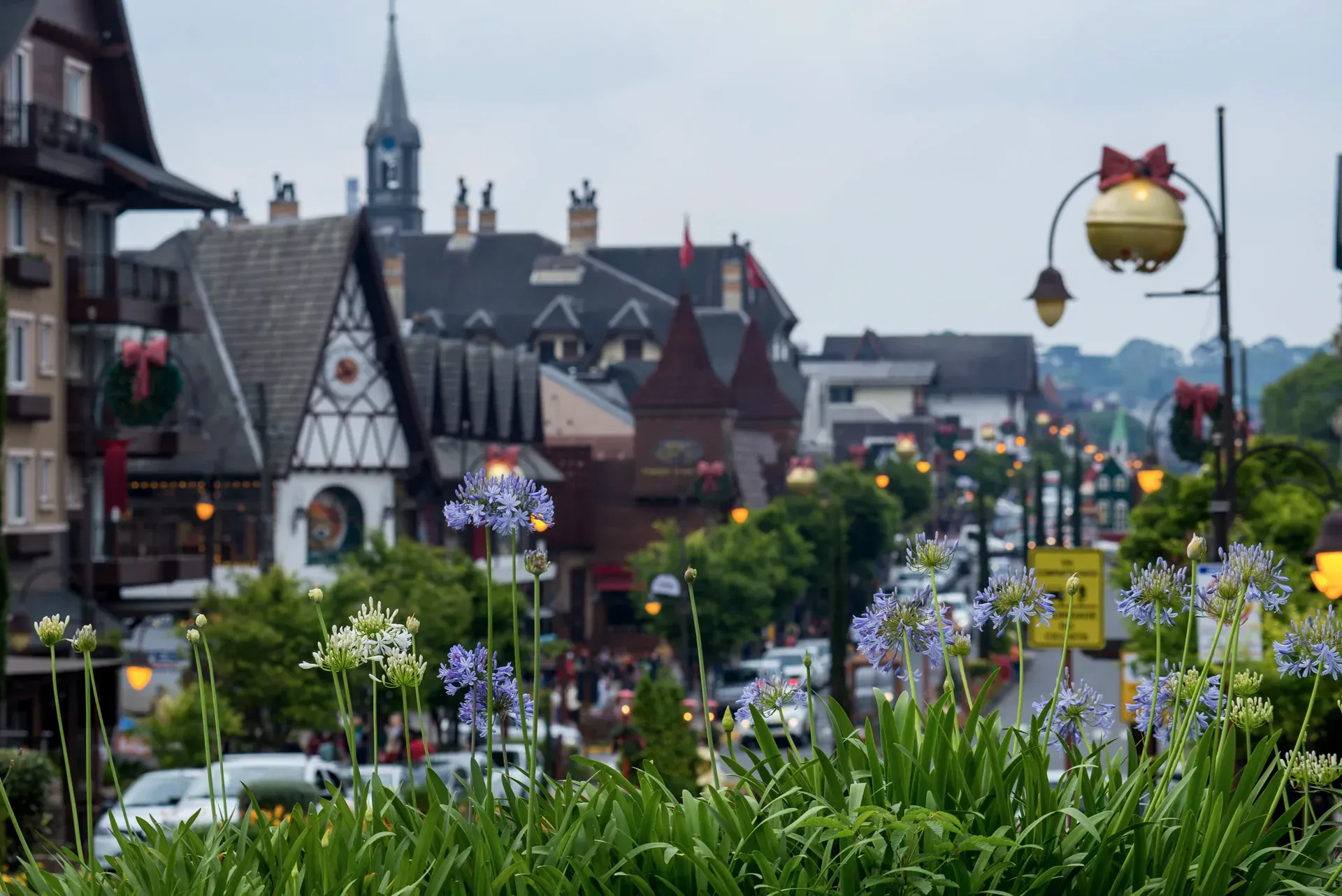 Uma rua da cidade com muitos edifícios e flores em primeiro plano.