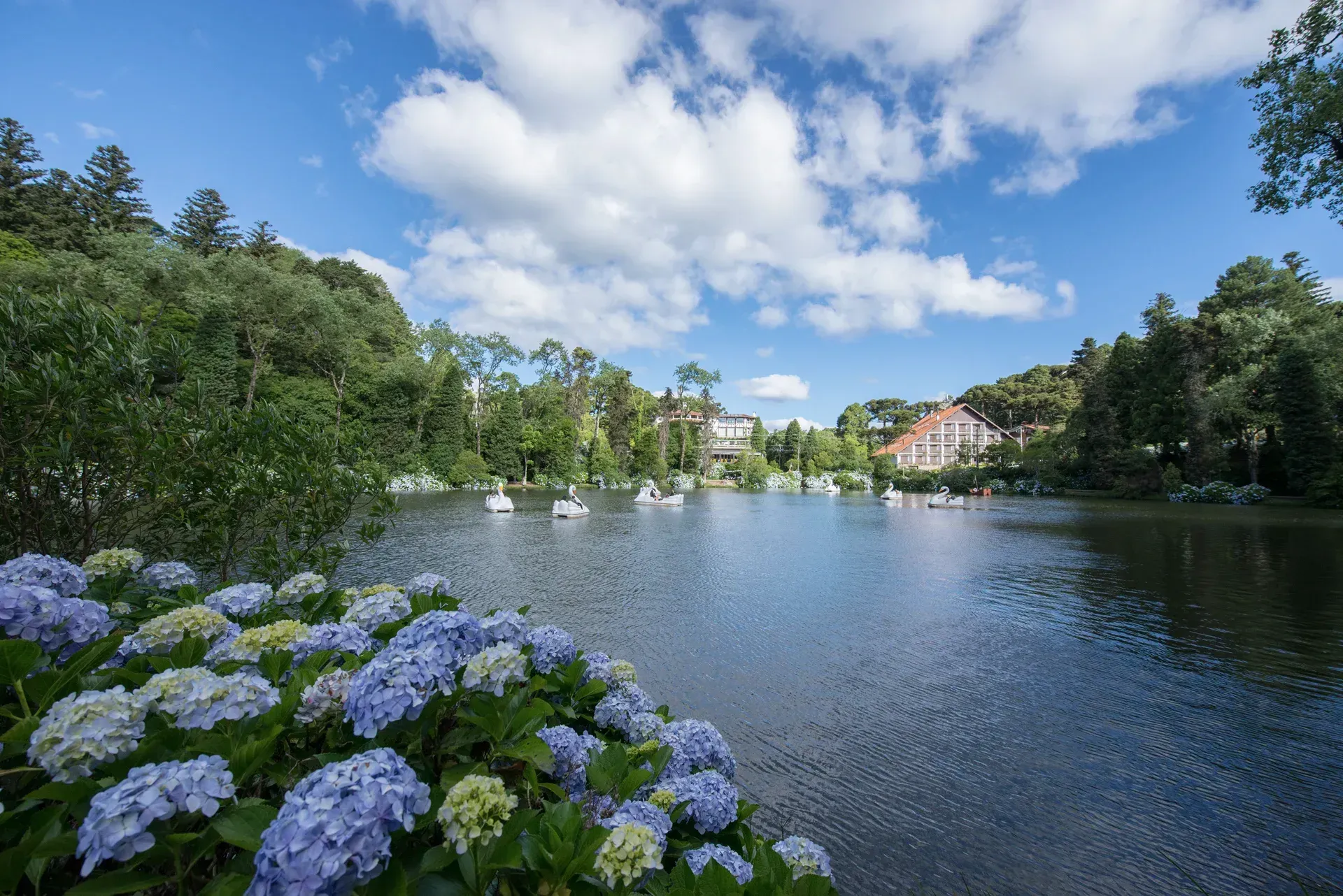 Um lago cercado por árvores e flores em um dia ensolarado