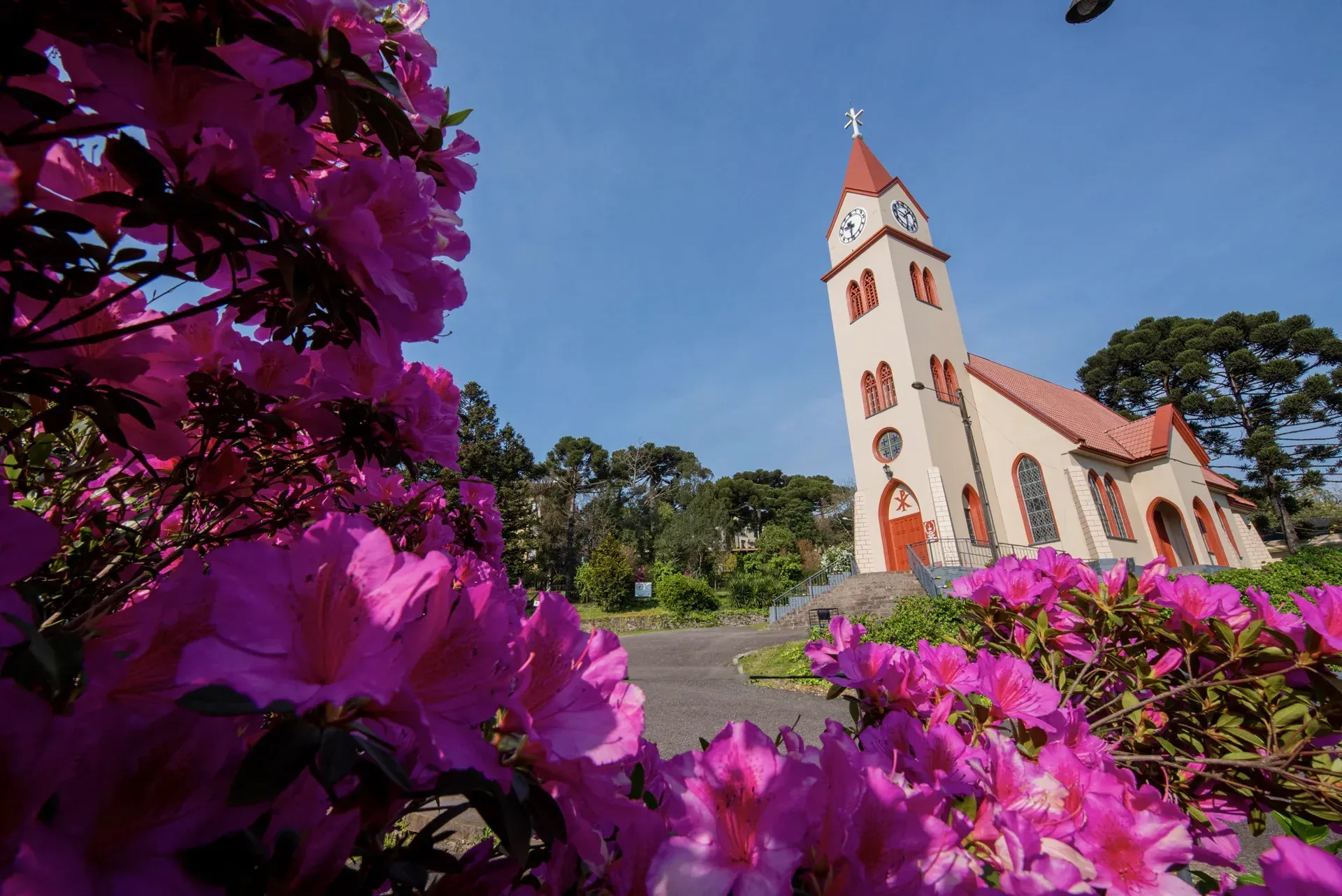 Uma igreja com uma torre do relógio está cercada por flores roxas.