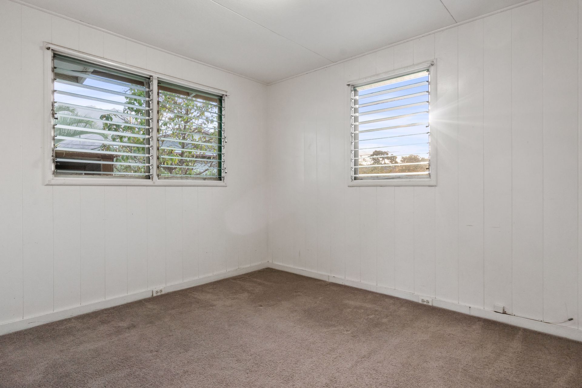An empty bedroom with two windows and a carpeted floor.