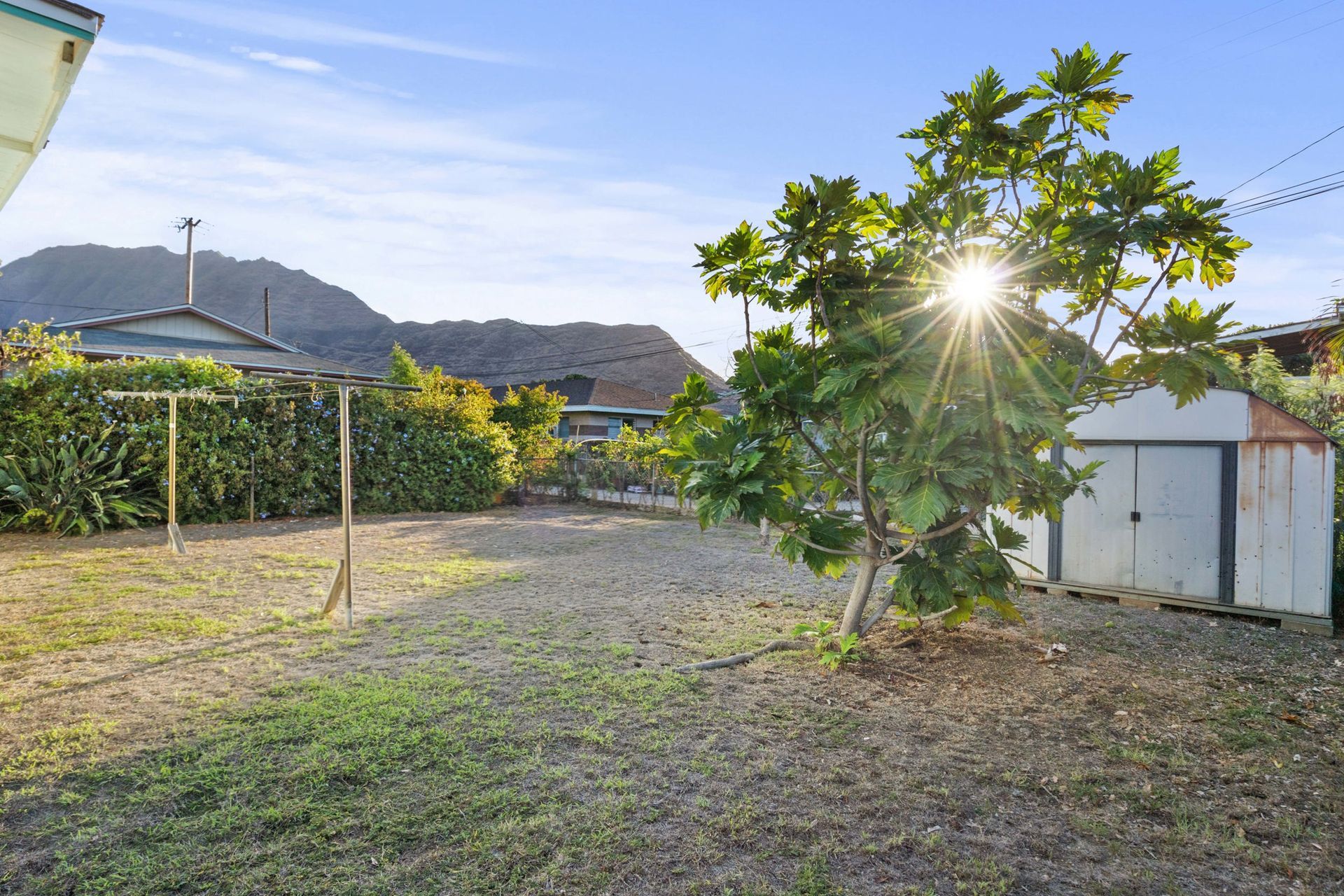 The sun is shining through the trees in the backyard of a house.