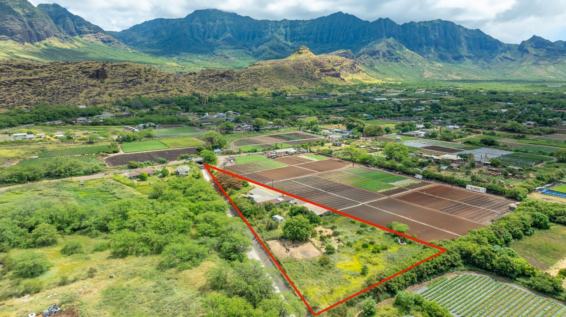 An aerial view of a lush green field with mountains in the background.