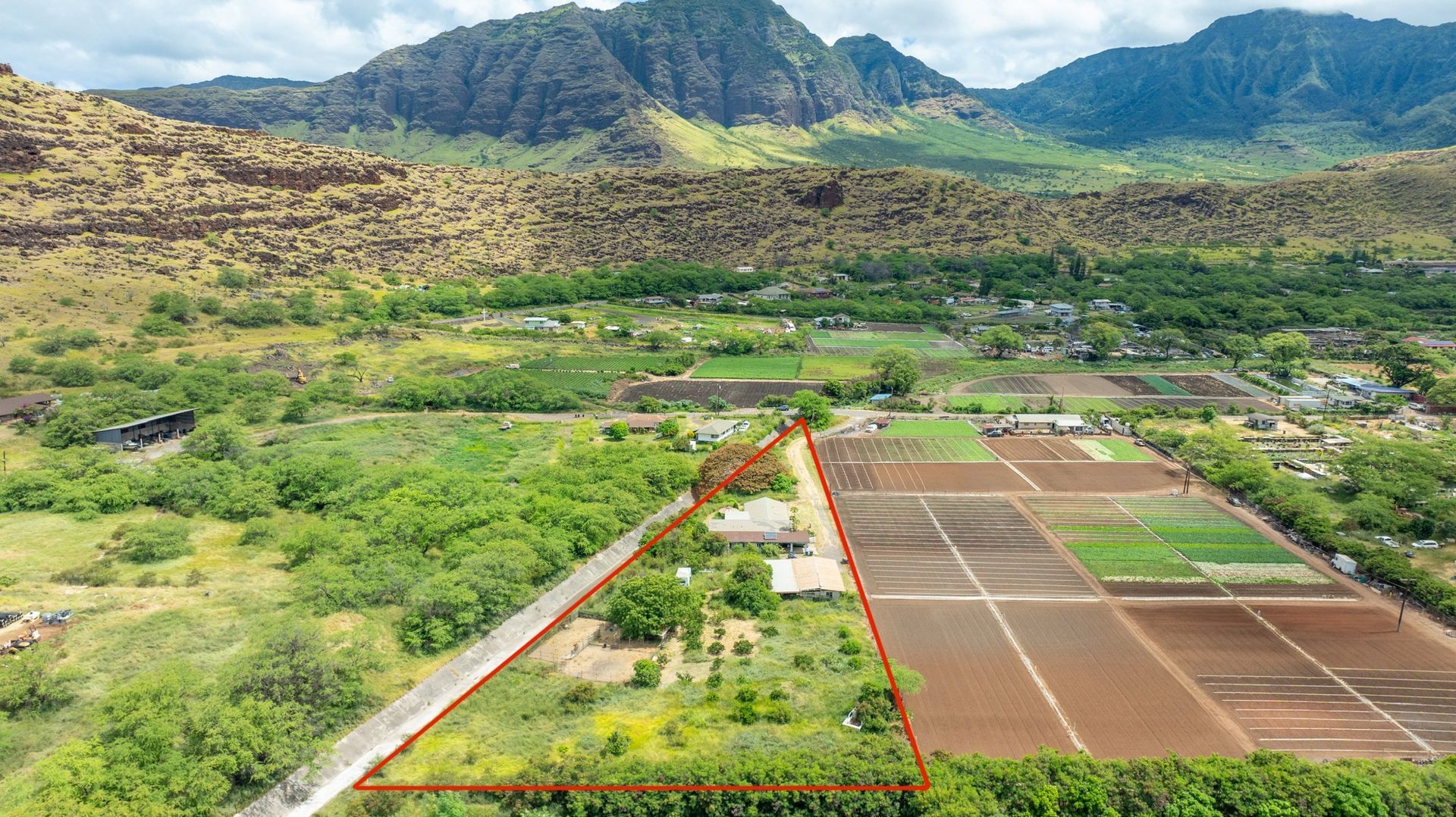 An aerial view of a lush green field with mountains in the background.