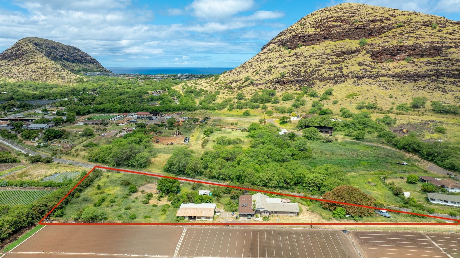 An aerial view of a lush green field with a mountain in the background.