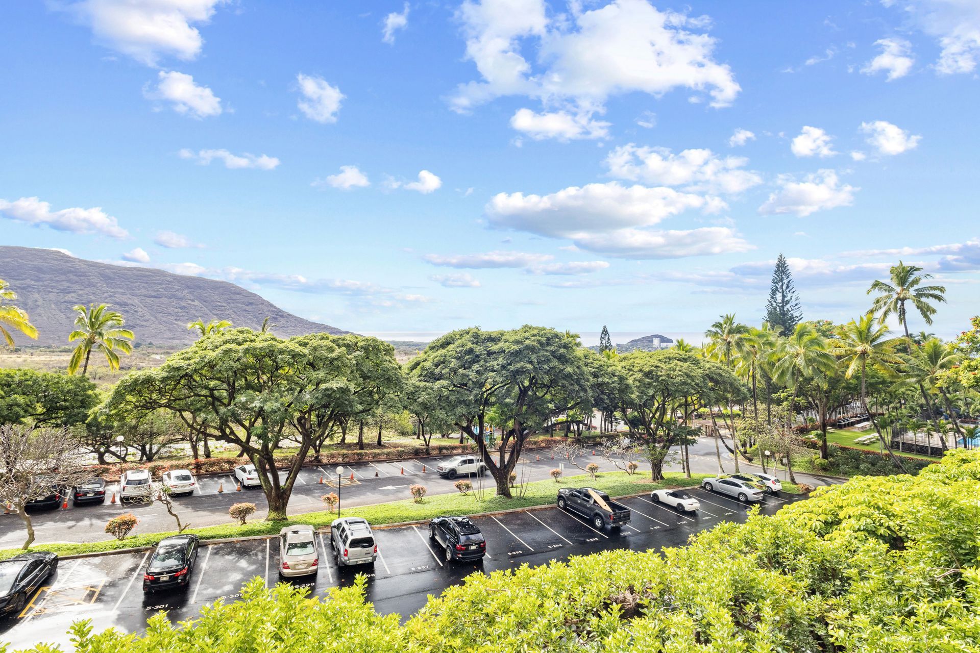 A parking lot filled with cars and trees on a sunny day.