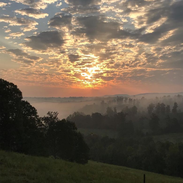 Sunrise over a misty valley with trees and clouds.