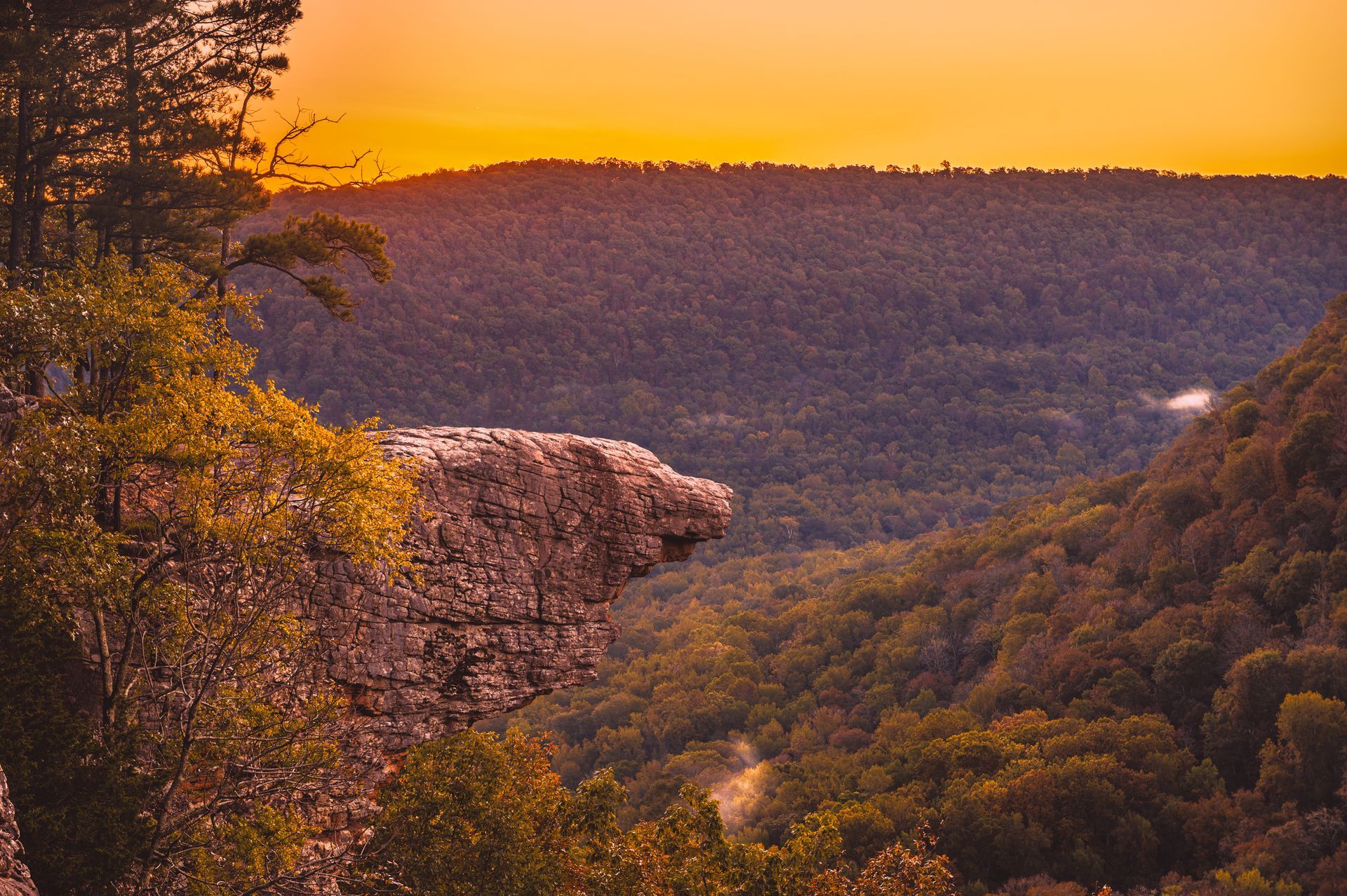 Cliff overlooking a deep forested valley at sunset; orange and gold hues.